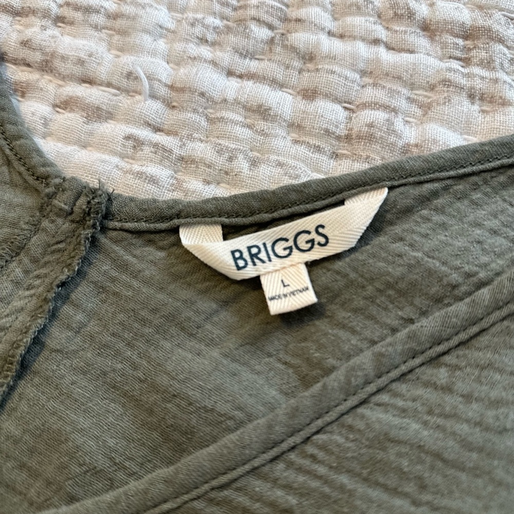 BRIGGS - Picture 6 of 7